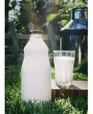 Leche