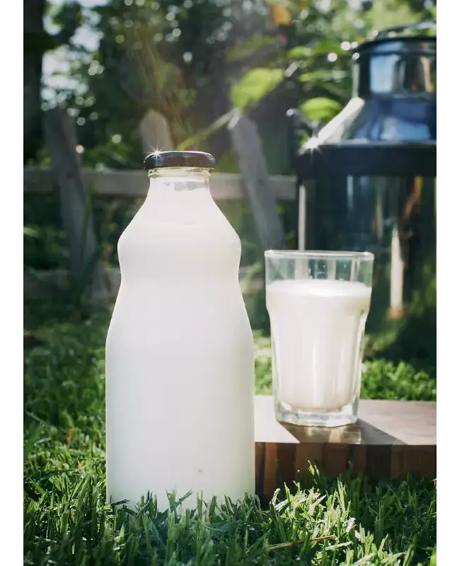 Leche