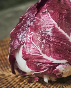 Radicchio