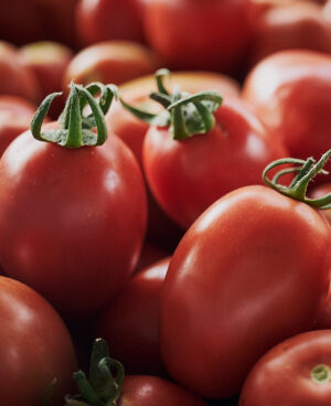 Tomate