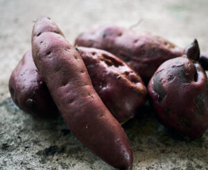 Camote