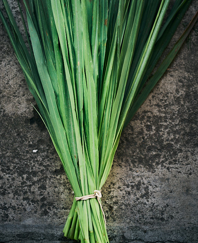 Hierba Luisa
