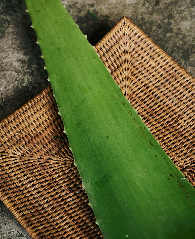 Sabila