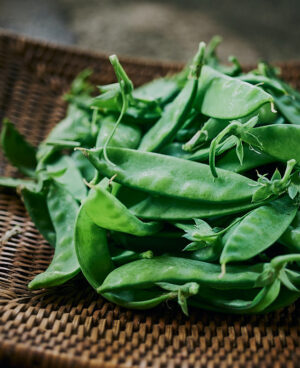 Vainita China (snow pea)