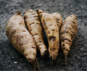 Zanahoria Blanca