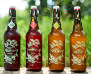 Kombucha